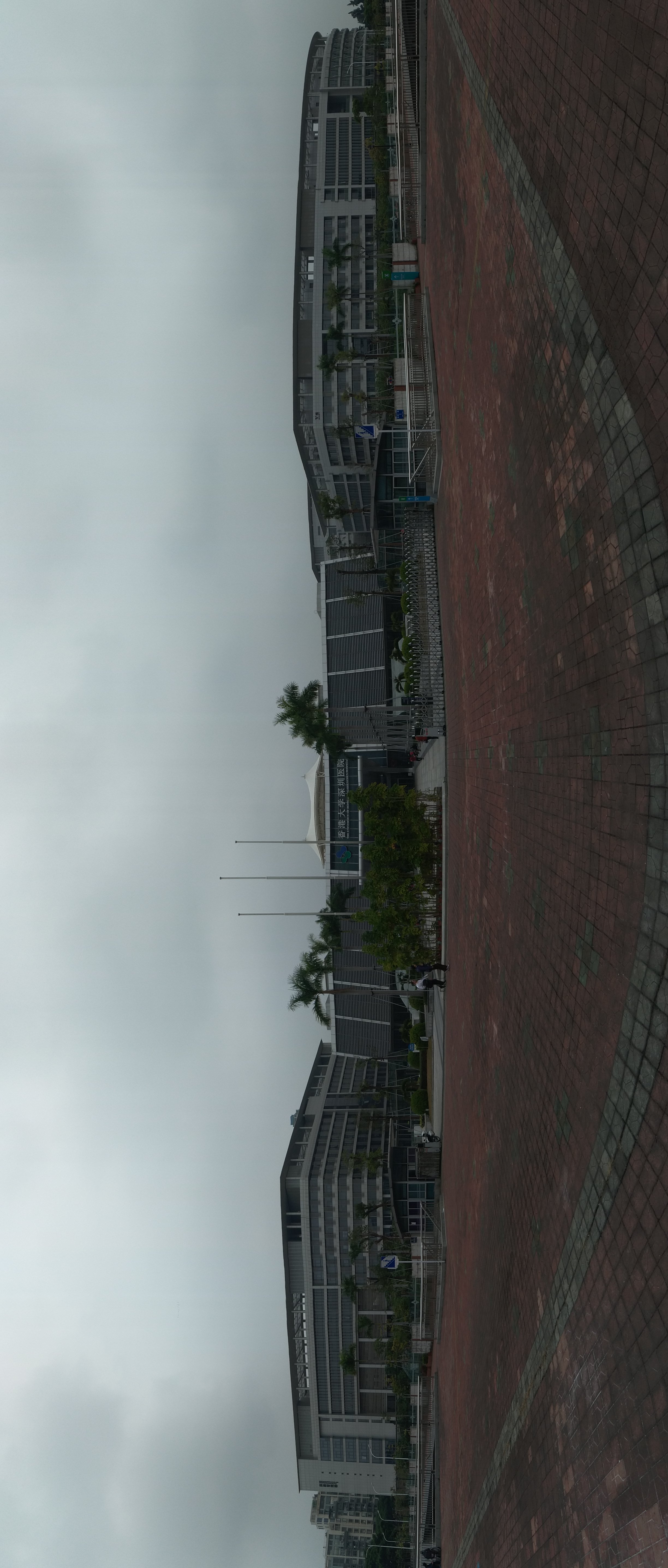 University of Hong Kong-Shenzhen Hospital